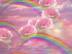 rainbow and roses